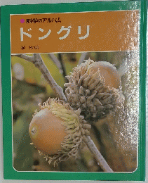 科学のアルバムドングリ