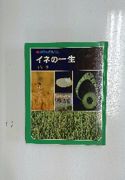 イネの一生
