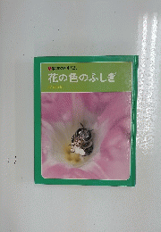 花の色のふしぎ
