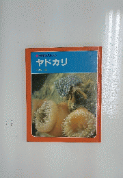 ヤドカリ