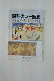資料カラー歴史