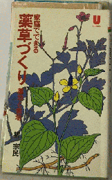 家庭でできる薬草づくり : 薬効と栽培