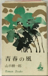 青春の風