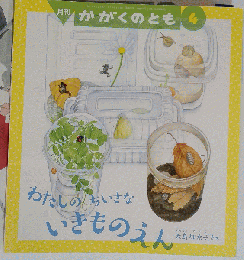 月刊かがくのとも わたしのちいさないきものえん 2021年4月号 