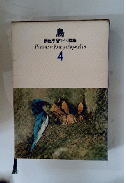 鳥 原色学習ワイド図鑑 Picture Encyclopedia 4