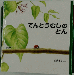 てんとうむしの とん