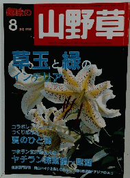山野草　8月号