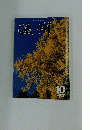 遠州　平成13年10月号