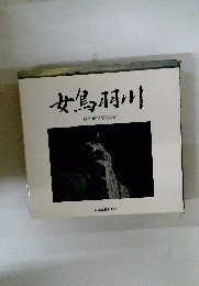 女鳥羽川