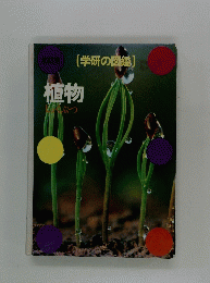 植物