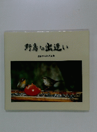 野鳥との出逢い : 加藤辰五郎写真集