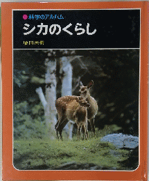 シカのくらし