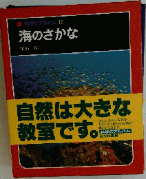 科学のアルバム　15　海のさかな