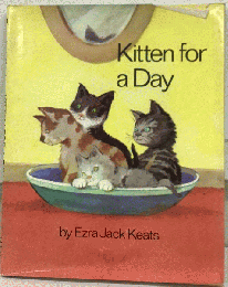 Kitten for a Day