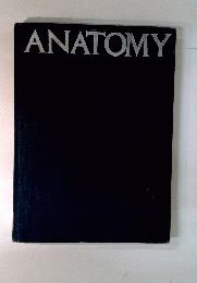 ANATOMY