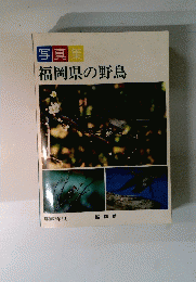 福岡県の野鳥　昭和57年3月