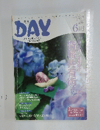 月刊 デイ　2010年6月号