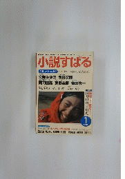 小説すばる　平成16年1月1日発行