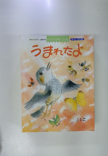 Rules of The Road Textbook 学科教本 / 古本配達本舗 / 古本