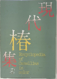 現代椿集