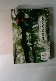 鳥たちの四季