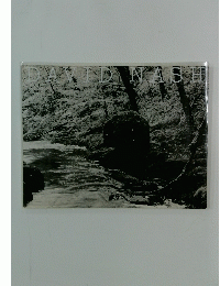 DAVID NASH