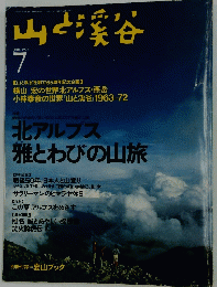 山と渓谷　1995年7月1日発行