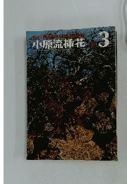 小原流插花　1979年3月