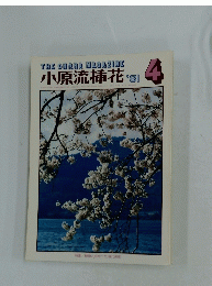小原流花　4