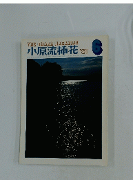 小原流插花　1981年6月号