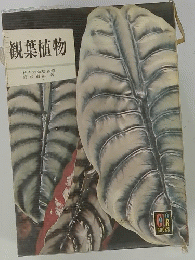 観葉植物