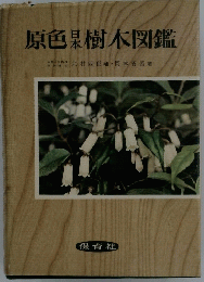 原色樹木図鑑