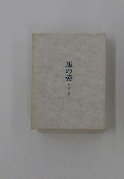 風の姿 : 谷田耕一詩集