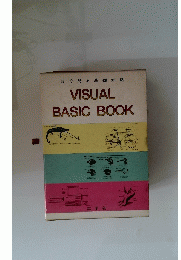 VISUA LBASIC BOOK