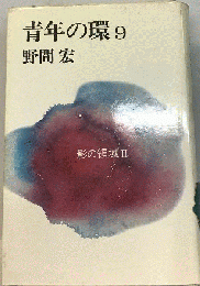 青年の環「9」影の領域