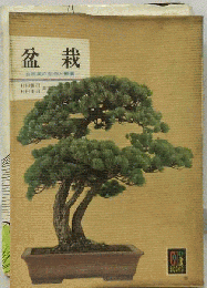 盆栽