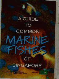 A guide to common marine fishes of Singapore