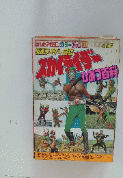 テレビマガジンカラーブック 13