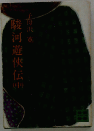 駿河遊侠伝　中
