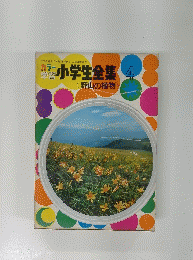 野山の植物