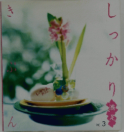 しっかりきぶん　Vol.3