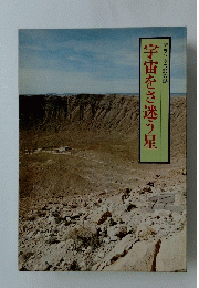 デラックス9の謎　宇宙をさ迷う星