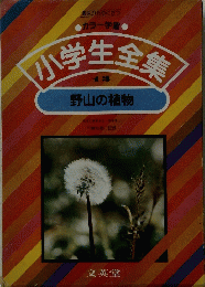 小学生全集　13　野山の植物