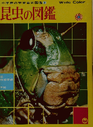 昆虫の図鑑