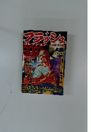 フラッシュコレクションビギナー&エキスパート対面