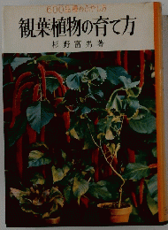 観葉植物の育て方
