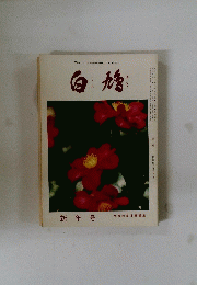 白鳩　新年号