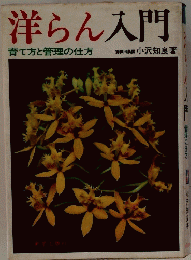 洋らん入門　育て方と管理の仕方