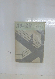 青春の彷徨
