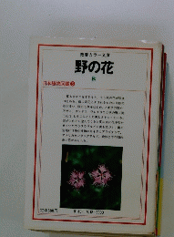 教養カラー文庫　野の花　秋　日本植物図鑑 ③